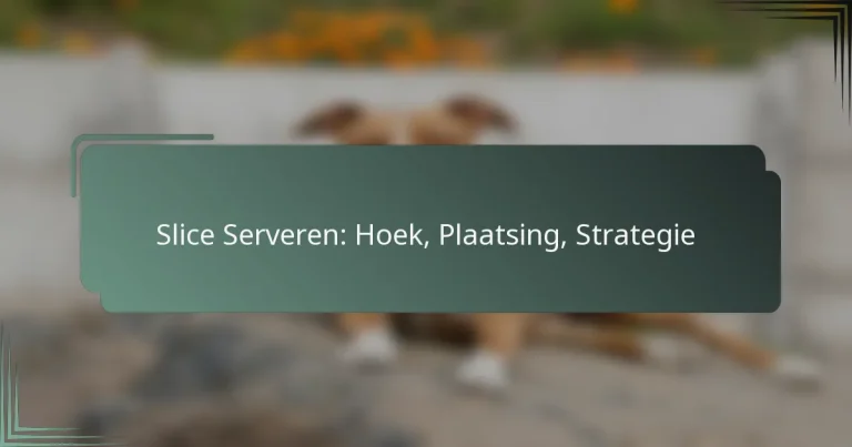 Slice Serveren: Hoek, Plaatsing, Strategie